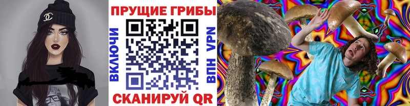Псилоцибиновые грибы мицелий  магазин  наркотиков  Болохово 