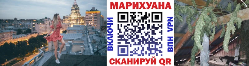 Конопля OG Kush  Болохово 